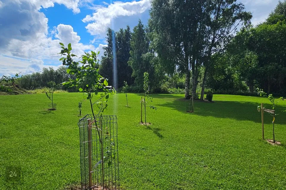 Maatulundusmaa, 4104 m² Maa  -  Peipsiääre vald, Varnja alevik - foto 4