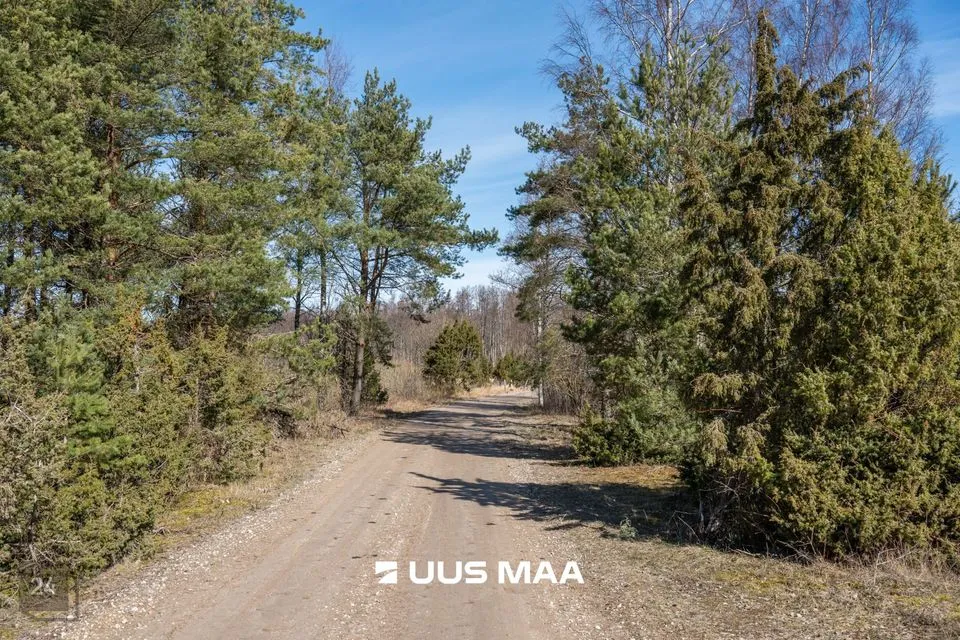 Elamumaa, 35678 m² Maa - Hiiumaa vald, Tohvri küla - foto 4
