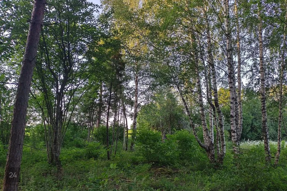Maatulundusmaa, 16821 m² Maa  -  Saaremaa vald, Kõrkvere küla