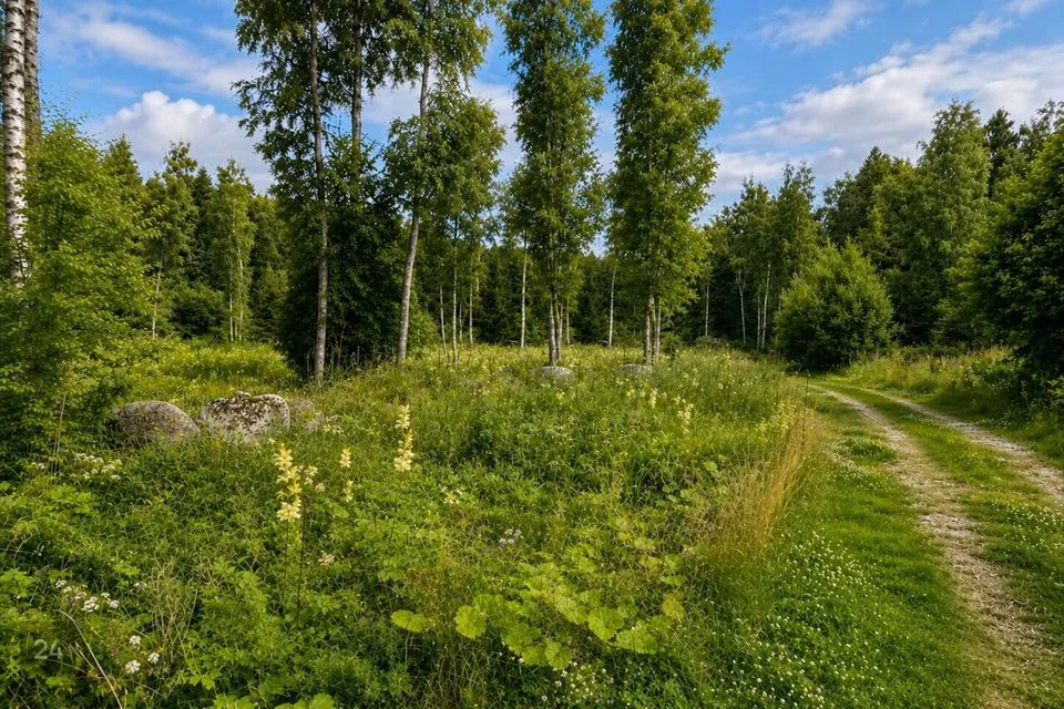 Elamumaa, 4545 m² Maa - Kuusalu vald, Valkla küla - foto 2