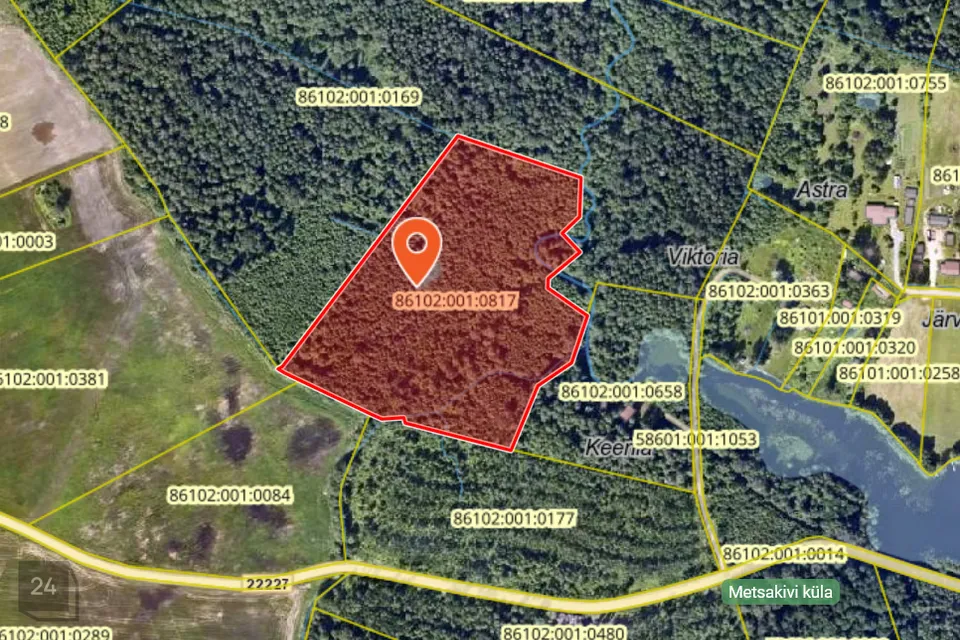 Maatulundusmaa, 32545 m² Maa  -  Peipsiääre vald, Metsakivi küla - foto 2