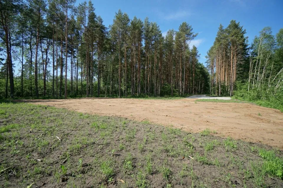 Elamumaa, 33989 m² Maa  -  Saue vald, Alliku küla