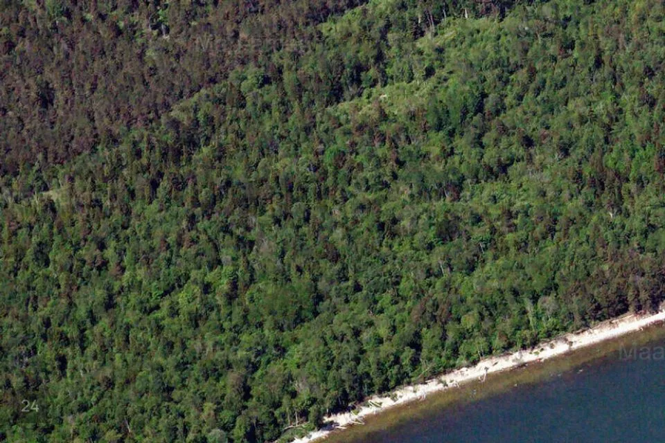 Elamumaa, 178695 m² Maa - Saaremaa vald, Mõntu küla - foto 3