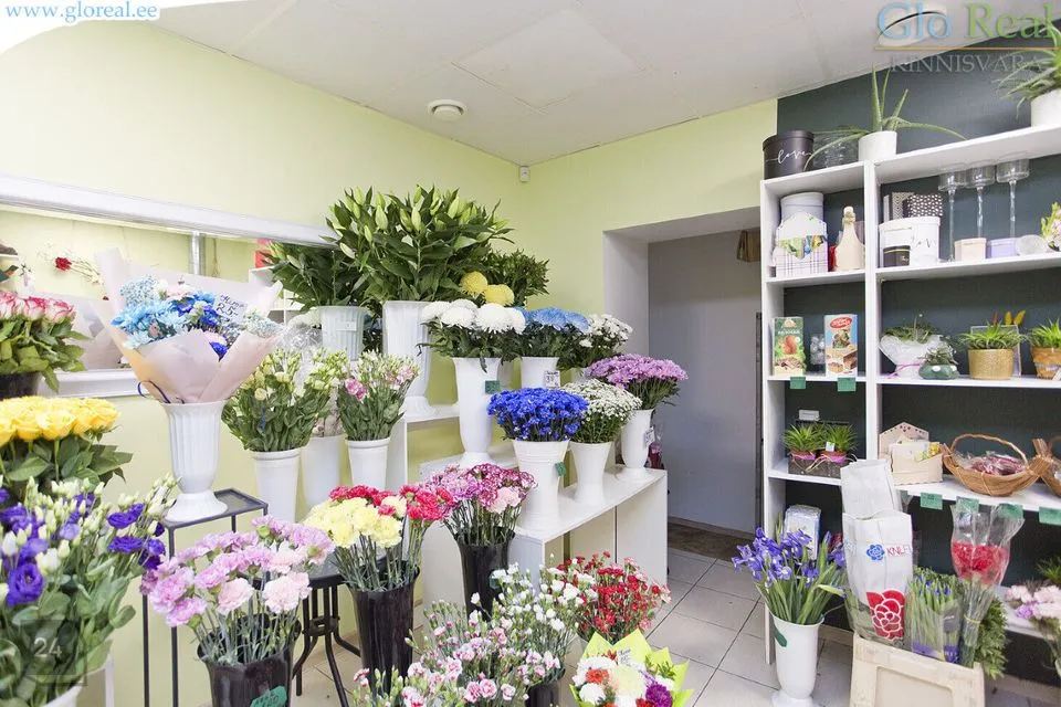 Mitme sihtotstarbega, 32 m² Äripind  -  Tallinn, Lasnamäe linnaosa - foto 3