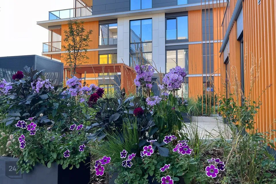 3-toaline Korter - Tallinn, Põhja-Tallinna linnaosa - foto 5