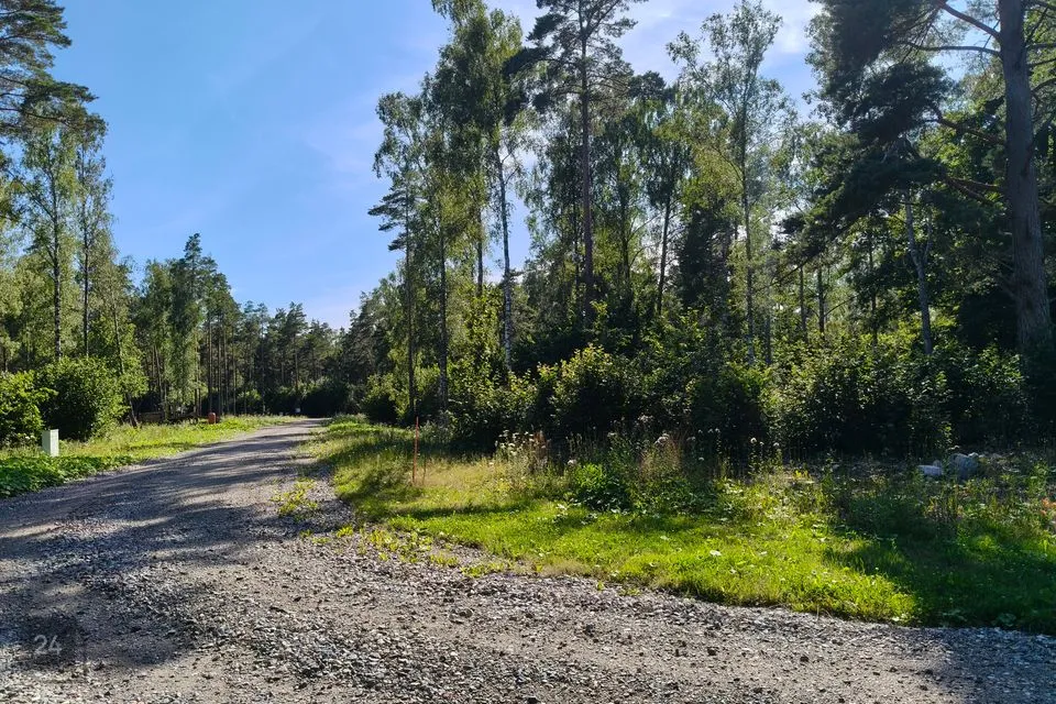 Elamumaa, 3000 m² Maa - Saaremaa vald, Upa küla - foto 5