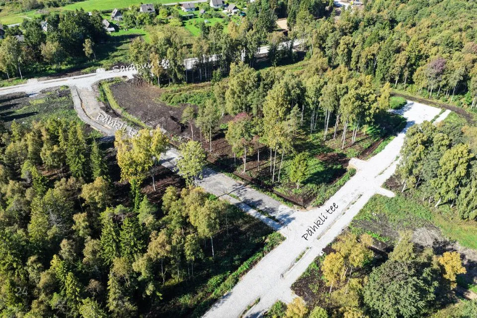 Elamumaa, 2948 m² Maa - Raasiku vald, Kurgla küla - foto 4