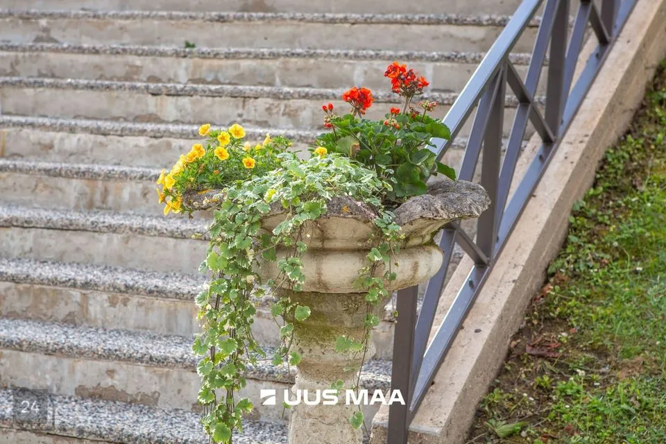 9-toaline Maja  -  Rõuge vald, Kokõ küla - foto 4