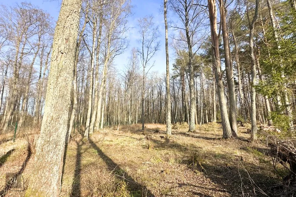 Земля жилой застройки, 1205 m² участок в Viimsi vald, Randvere küla - фото 3