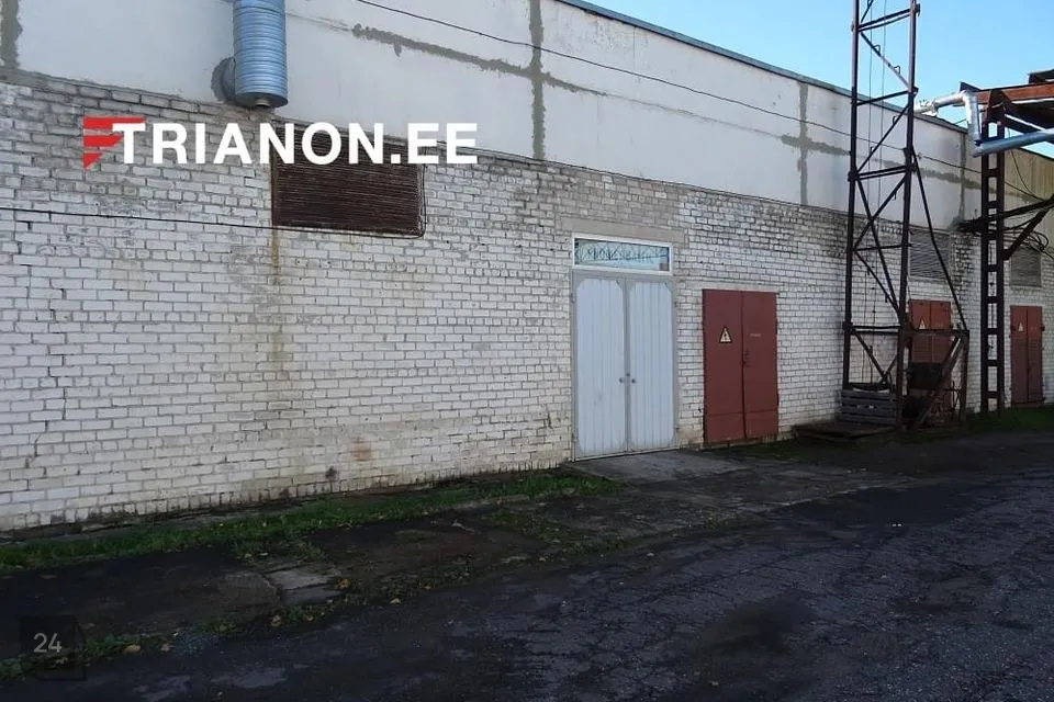 Mitme sihtotstarbega, 290 m² Äripind  -  Narva linn