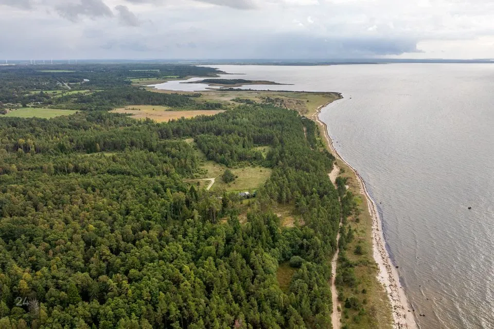 Elamumaa, 10658 m² Maa - Lääne-Nigula vald, Riguldi küla / Rickul - foto 5