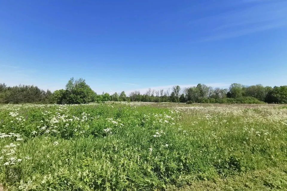 18296 m² участок в Lääne-Nigula vald, Suur-Nõmmküla / Klottorp - фото 5