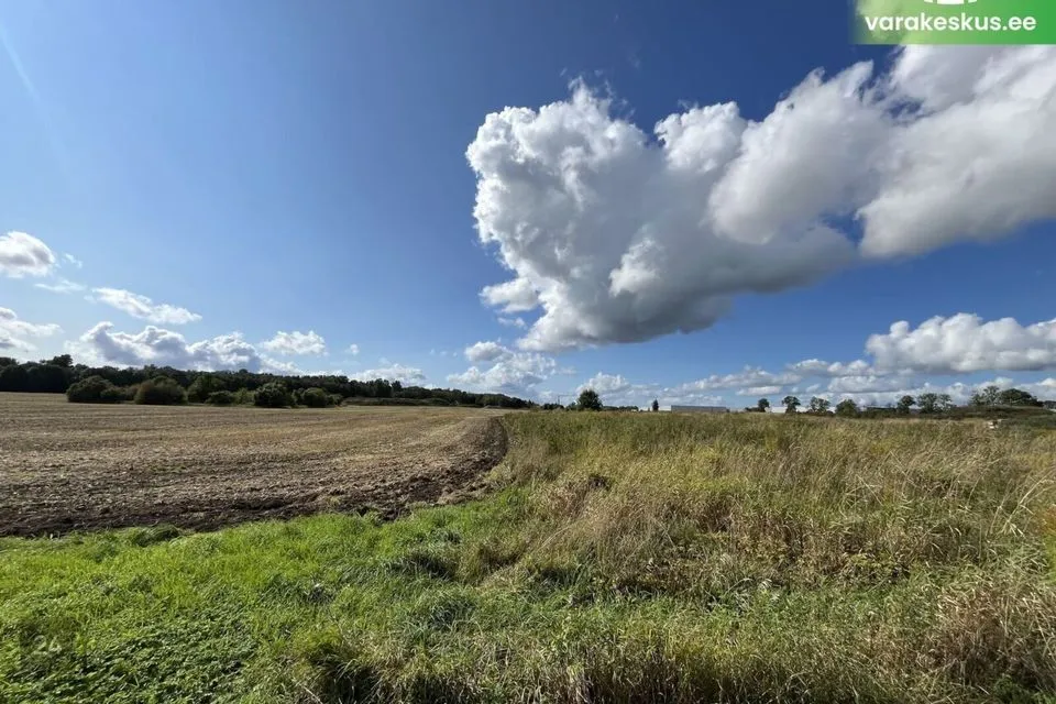 Tootmismaa või Ärimaa, 5267 m² Maa  -  Rae vald, Kurna küla - foto 3