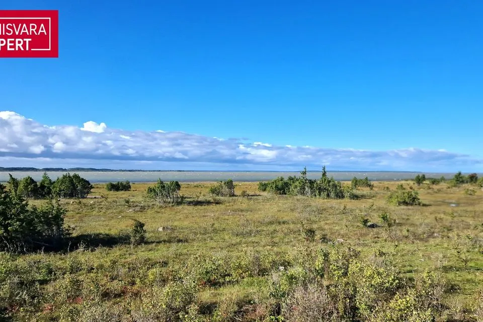Maatulundusmaa, 41740 m² участок в Muhu vald, Paenase küla
