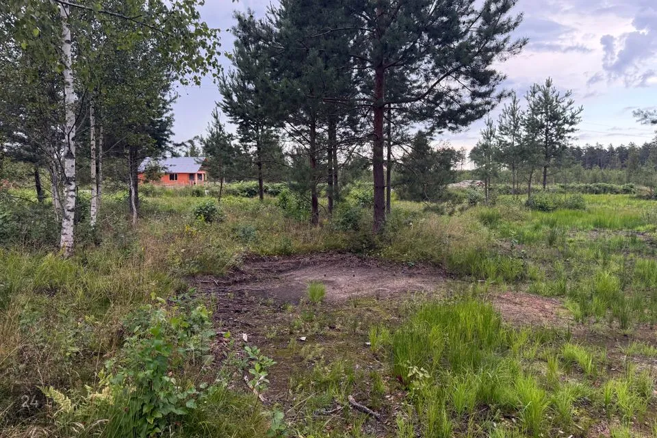 Elamumaa, 2025 m² Maa  -  Alutaguse vald, Kuru küla - foto 3