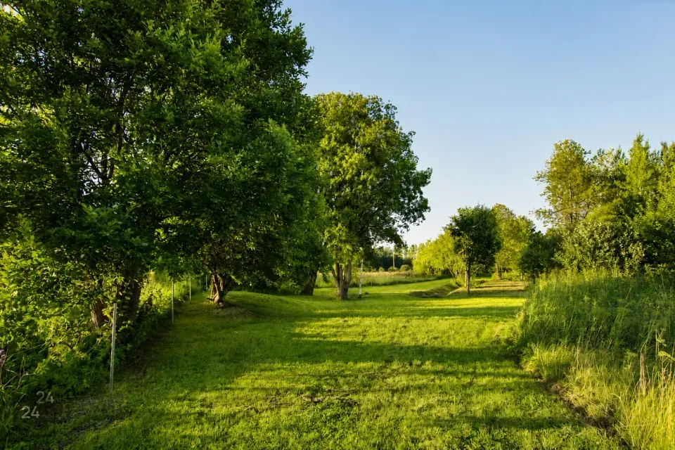 Maatulundusmaa, 9677 m² Maa  -  Raasiku vald, Tõhelgi küla - foto 2