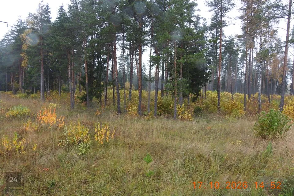 Elamumaa, 6053 m² Maa - Kohila vald, Aandu küla - foto 4