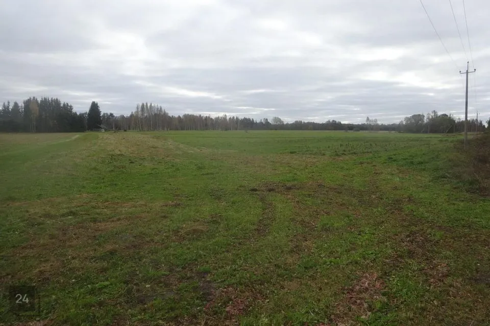 Maatulundusmaa, 131200 m² Maa - Häädemeeste vald, Reiu küla - foto 2
