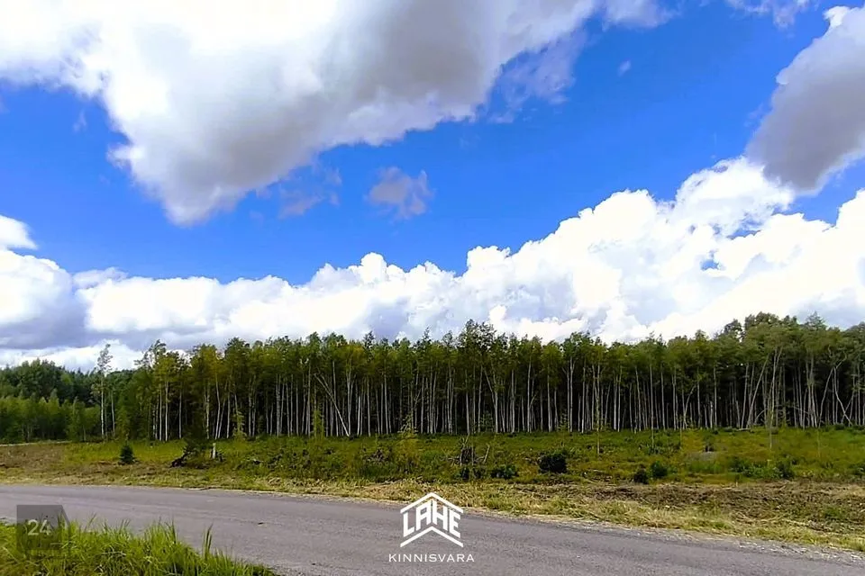 Elamumaa, 13821 m² Maa  -  Võru vald, Juba küla - foto 4