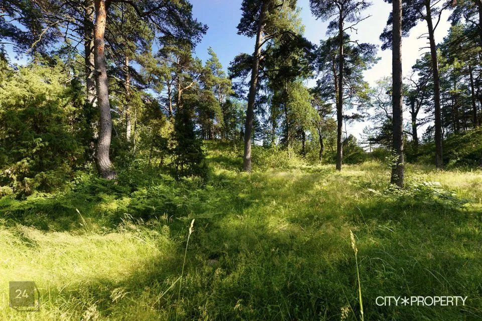 Residential land, 3402 m² land in Alutaguse vald, Katase küla - photo 5