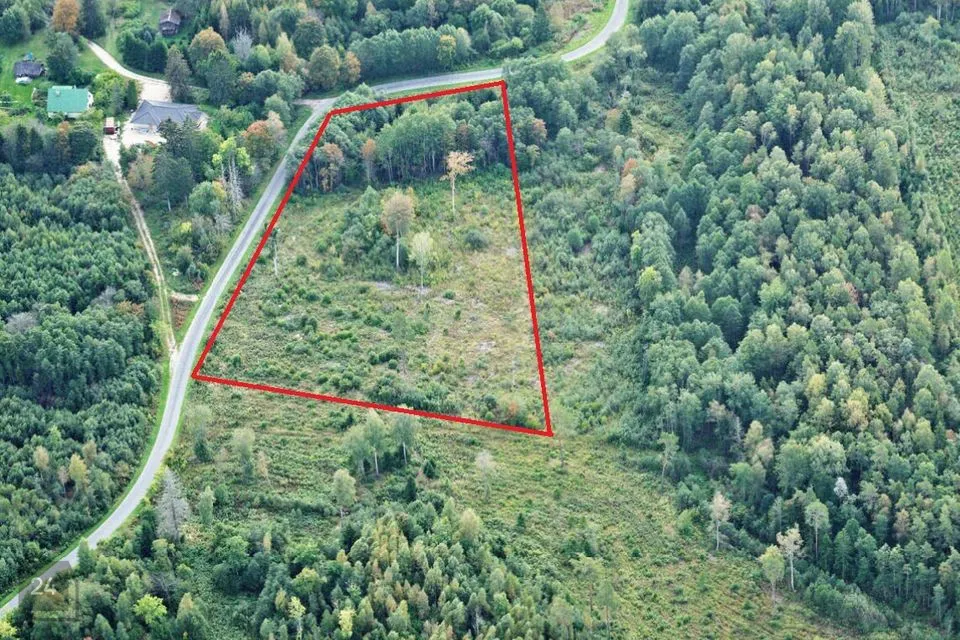 Maatulundusmaa, 14447 m² Maa  -  Saue vald, Lepaste küla - foto 3