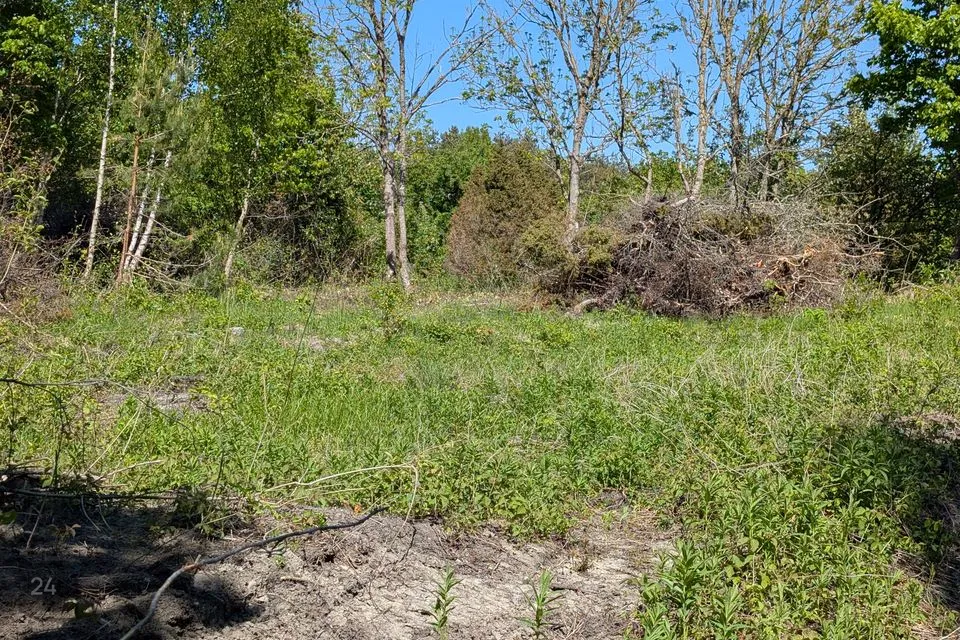 Maatulundusmaa, 4433 m² Maa - Saaremaa vald, Muratsi küla - foto 4