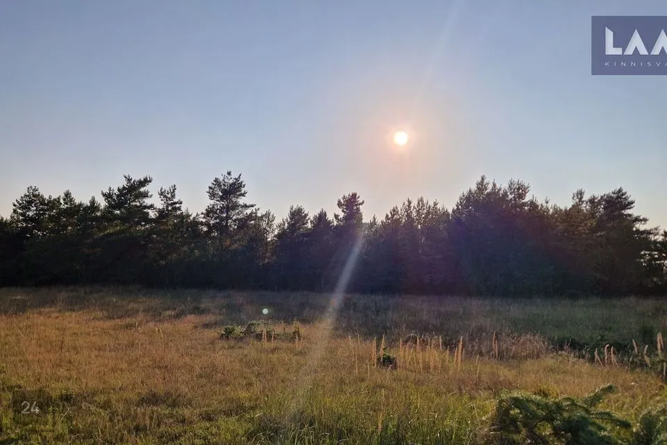 Maatulundusmaa, 81295 m² Maa  -  Saaremaa vald, Suure-Rootsi küla - foto 3