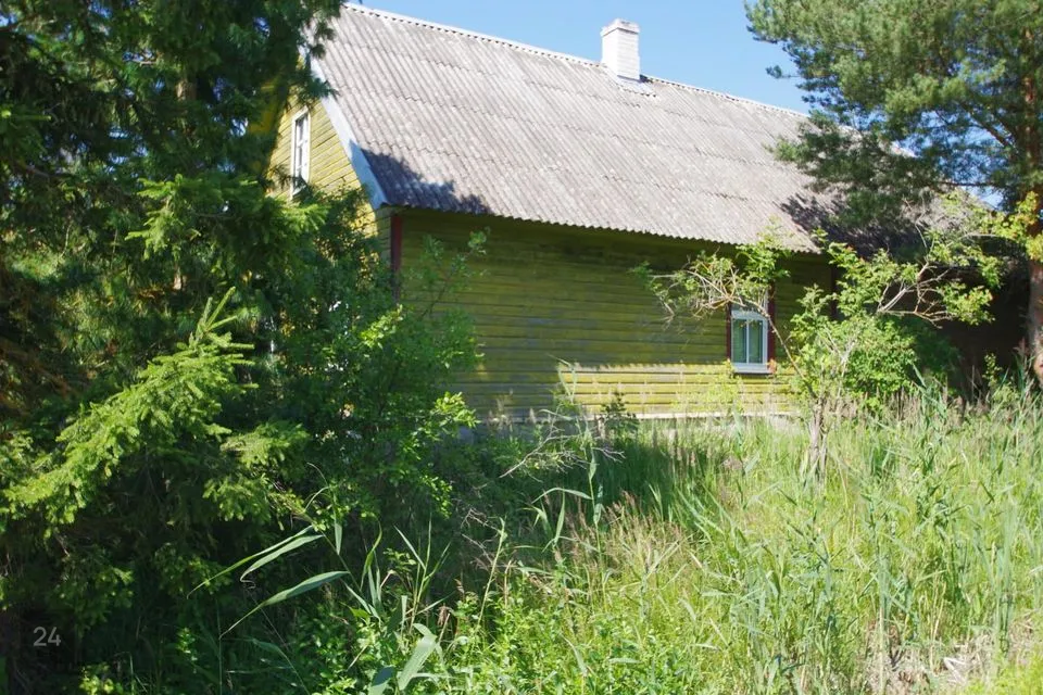 3-комнатная дом в Peipsiääre vald, Kasepää alevik - фото 3