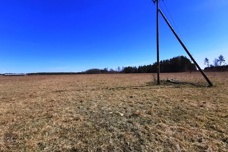 Maatulundusmaa, 31600 m² участок в Lääne-Nigula vald, Aulepa küla / Dirslätt - фото 4