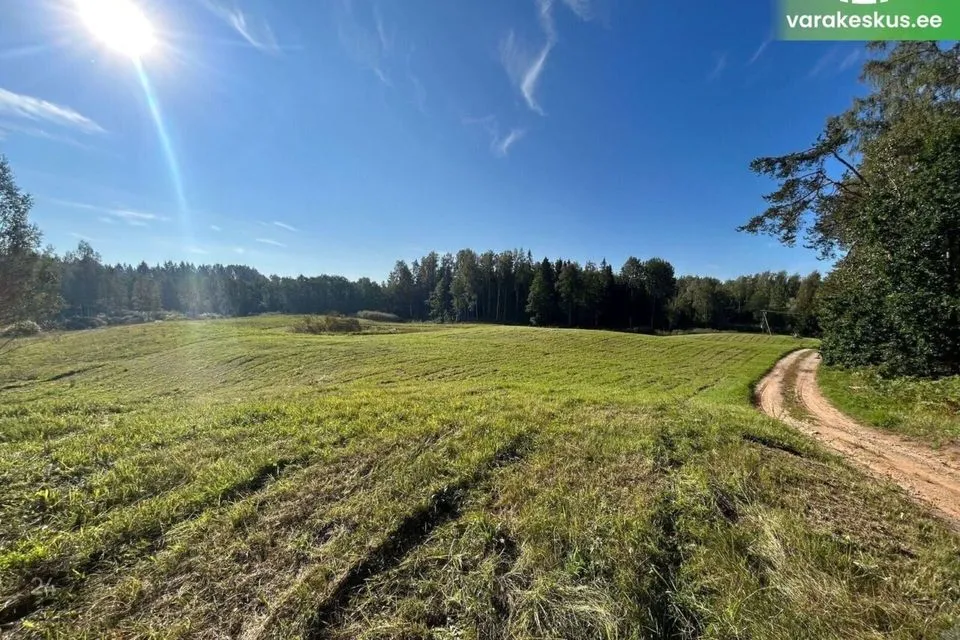 Maatulundusmaa, 25035 m² Maa - Otepää vald, Kastolatsi küla - foto 4