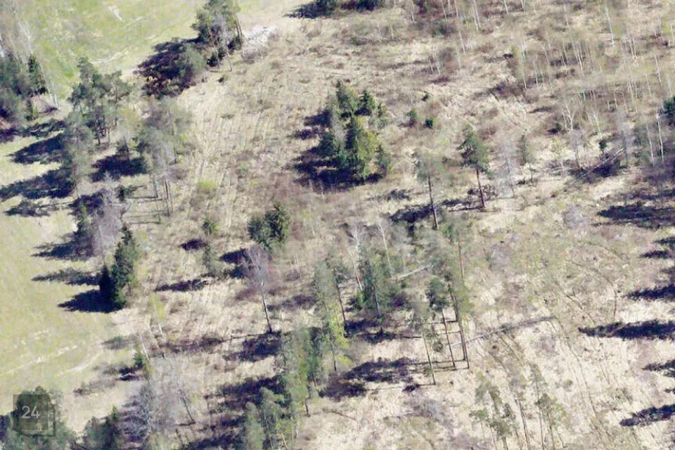 Maatulundusmaa, 13222 m² Maa  -  Märjamaa vald, Kõrvetaguse küla - foto 5