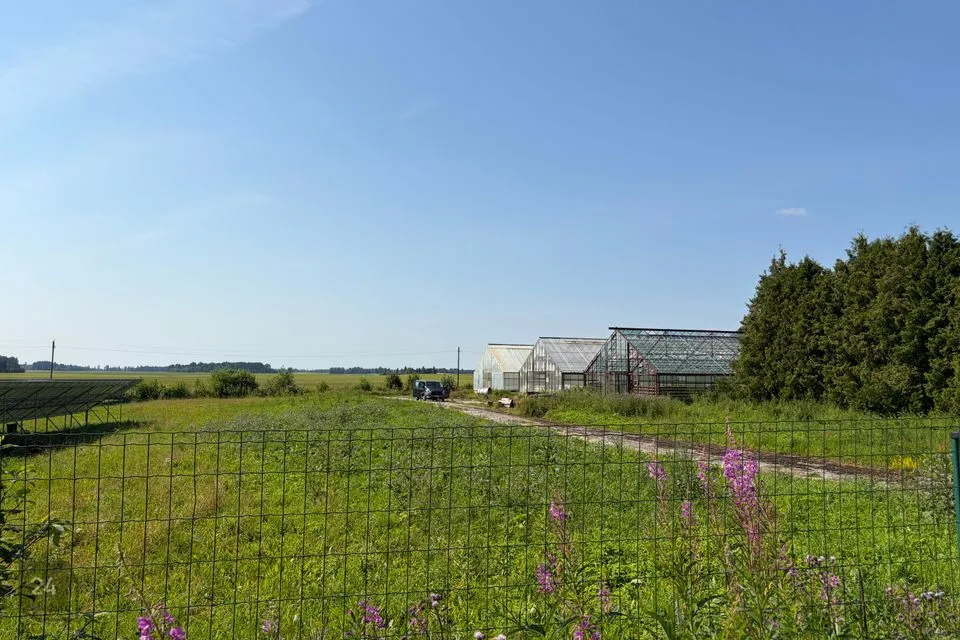 Tootmismaa, 12540 m² Maa - Järva vald, Aravete alevik - foto 4