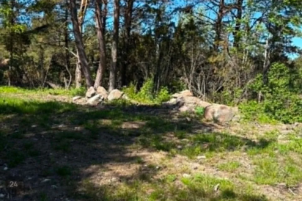Elamumaa, 43158 m² Maa  -  Hiiumaa vald, Mudaste küla - foto 2