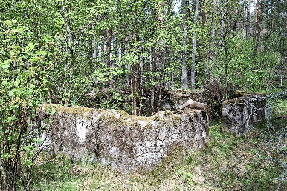 Elamumaa, 4504 m² Maa  -  Lääne-Nigula vald, Paslepa küla / Pasklep - foto 2