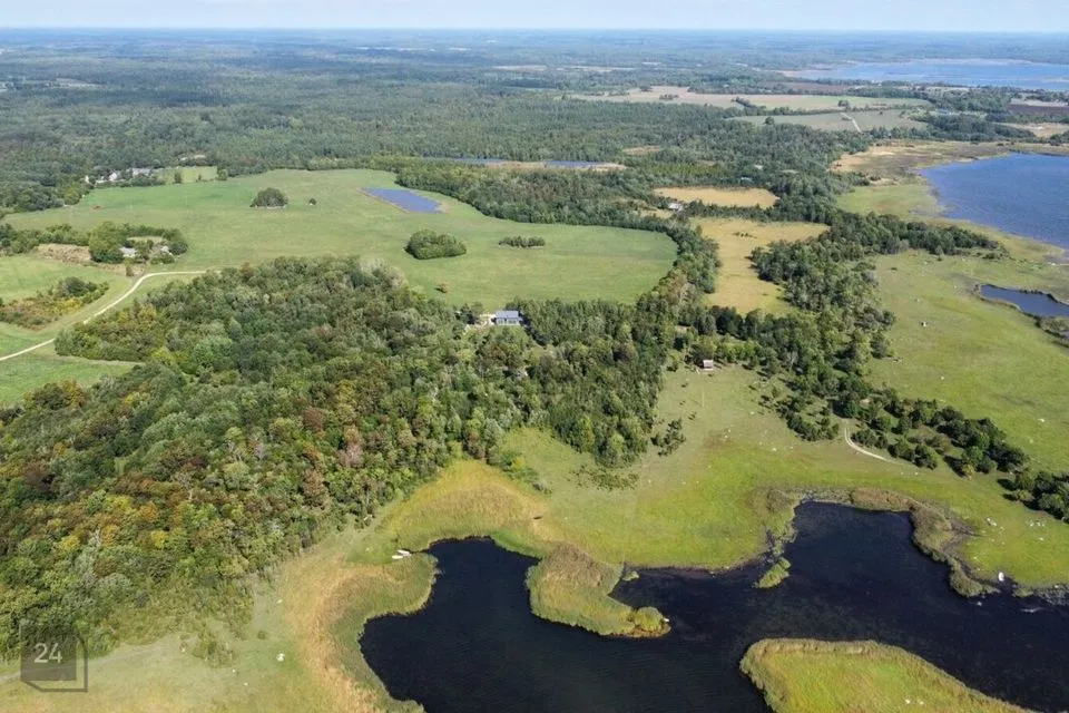 Maatulundusmaa, 16042 m² Maa - Saaremaa vald, Turja küla - foto 5