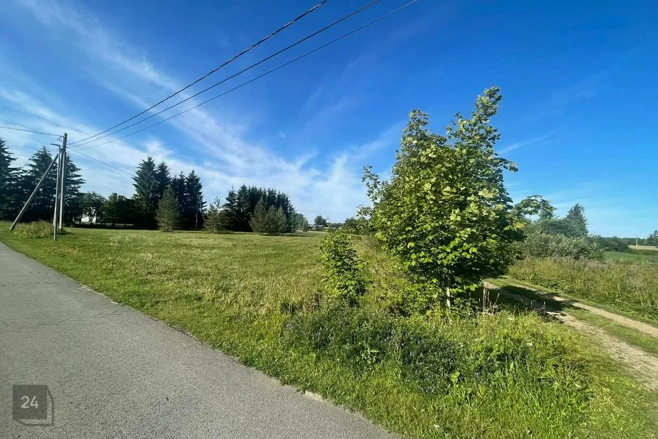 Elamumaa, 6440 m² Maa - Viru-Nigula vald, Vasta küla - foto 4