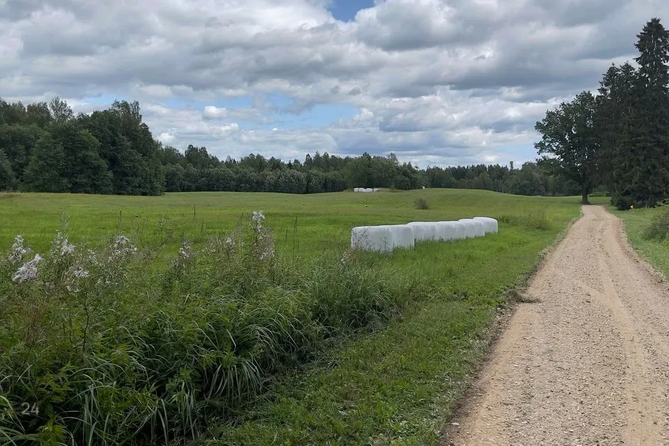 Maatulundusmaa, 29500 m² Maa  -  Rõuge vald, Preeksa küla - foto 4
