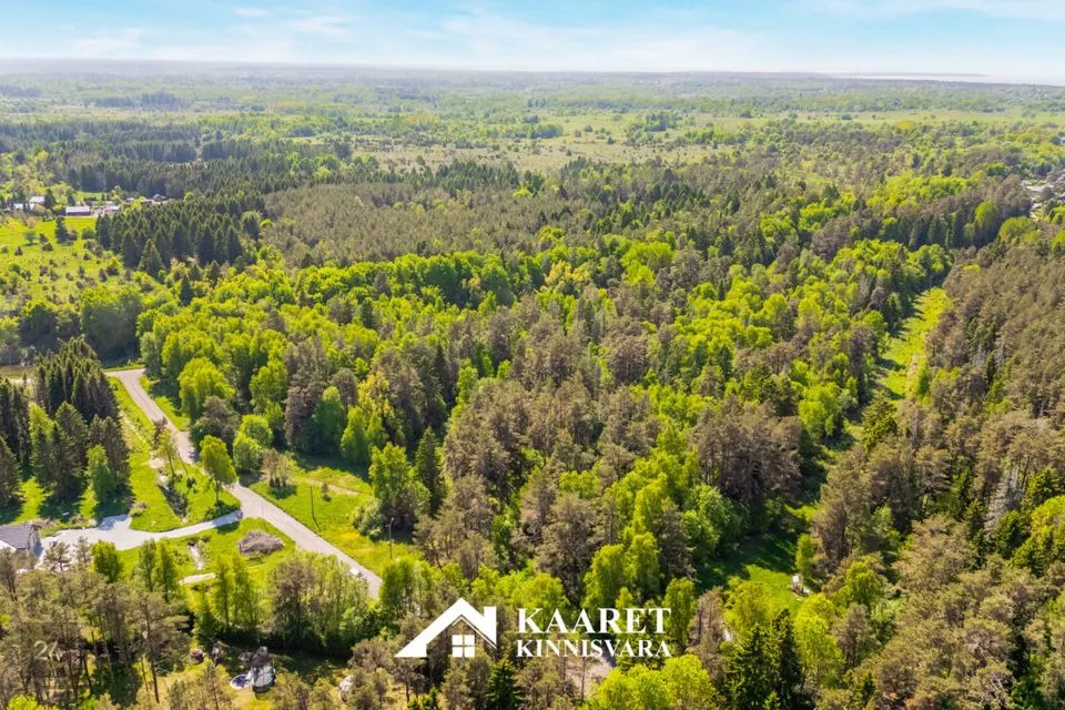 Elamumaa, 9591 m² Maa  -  Harku vald, Naage küla - foto 2