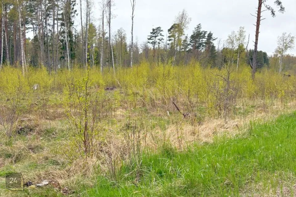 Maatulundusmaa, 60038 m² участок в Hiiumaa vald, Mänspe küla - фото 5