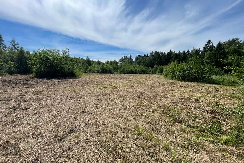 Ärimaa, 41296 m² Maa - Lääne-Nigula vald, Peraküla