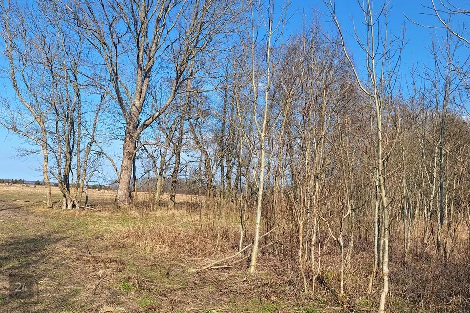 Maatulundusmaa, 166630 m² Maa  -  Lääne-Harju vald, Kurkse küla - foto 2