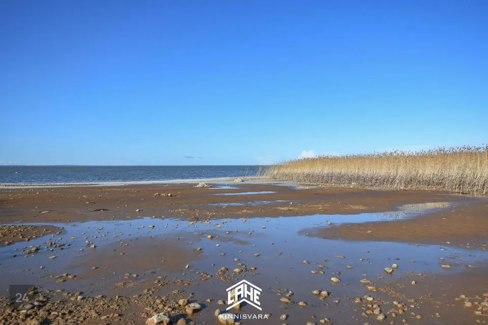 Maatulundusmaa, 12998 m² Maa  -  Elva vald, Järveküla - foto 3