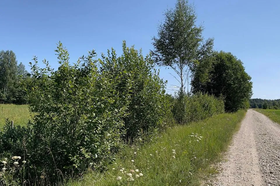 Maatulundusmaa, 20721 m² участок в Anija vald, Rooküla - фото 5
