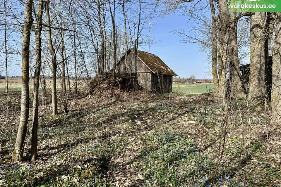 Elamumaa, 2659 m² Maa - Tartu vald, Tammistu küla - foto 3
