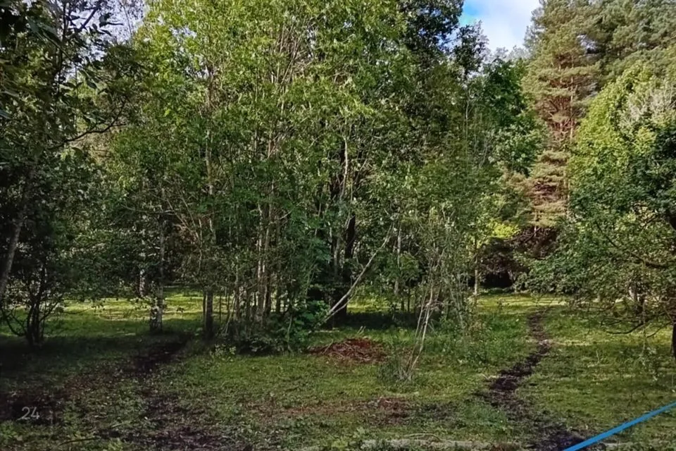 Cultivated land, 8963 m² land in Kihnu vald, Lemsi küla - photo 4