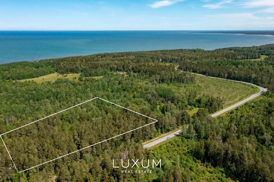Maatulundusmaa, 39462 m² участок в Saaremaa vald, Liiküla - фото 2