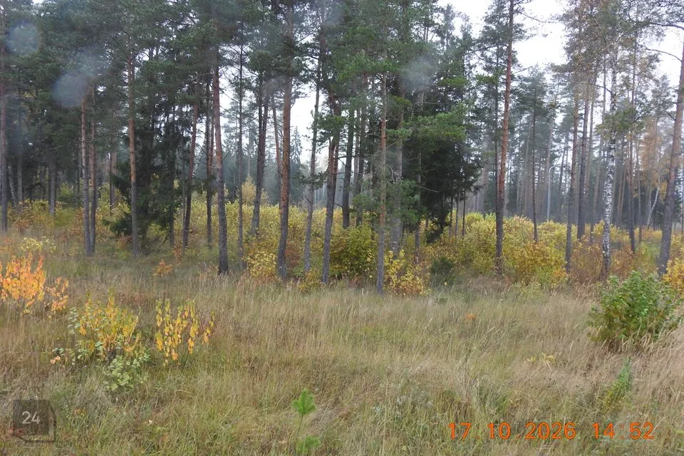 Elamumaa, 6053 m² Maa - Kohila vald, Aandu küla - foto 5
