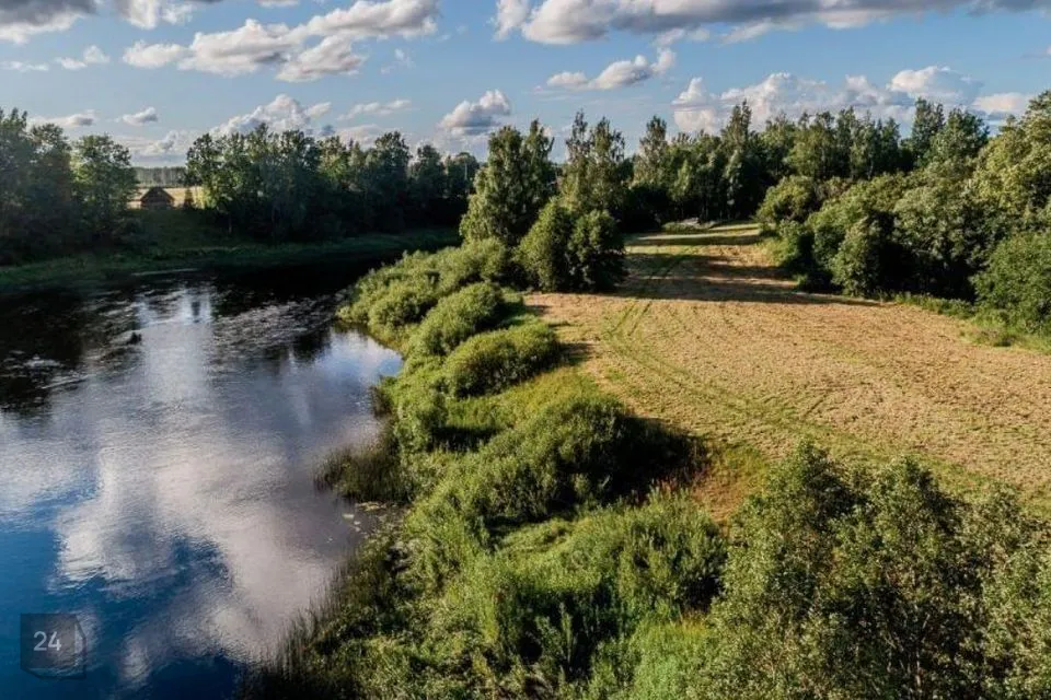 Maatulundusmaa, 3609 m² Maa  -  Tori vald, Taali küla - foto 2
