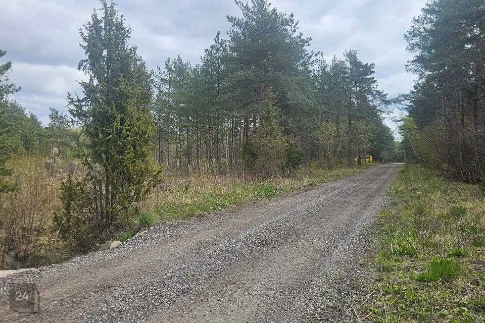 Elamumaa, 8548 m² Maa  -  Saaremaa vald, Muratsi küla