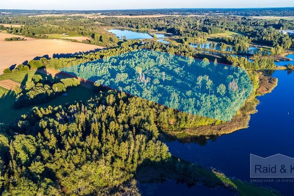 Maatulundusmaa, 73700 m² Maa - Antsla vald, Antsu küla - foto 2